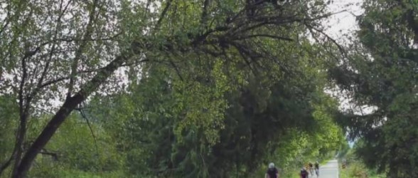 خرس سیاه ، تماشاگر ویژه رقابت دوچرخه سواری کوکیتلام(فیلم)