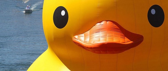 «اردک زرد گنده » به تورنتو می آید