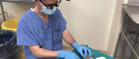 جراح اعصاب کانادایی برای روحیه دادن به کودک هشت ساله بعد از عمل، «عروسک خرسی »او را جراحی کرد