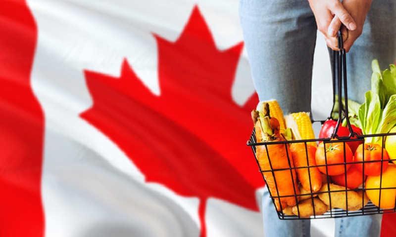 قیمت کدام اقلام غذایی در کانادا پس از پاندمی بیشترین افزایش را داشته؟